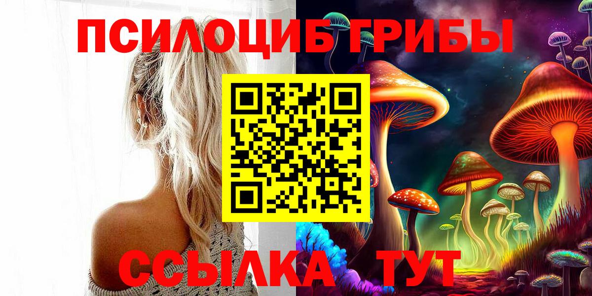 купить наркотики сайты  Вход с VPN  Галлюциногенные грибы Magic Shrooms  Гусь-Хрустальный  Псилоцибиновые грибы Psilocybine cubensis 