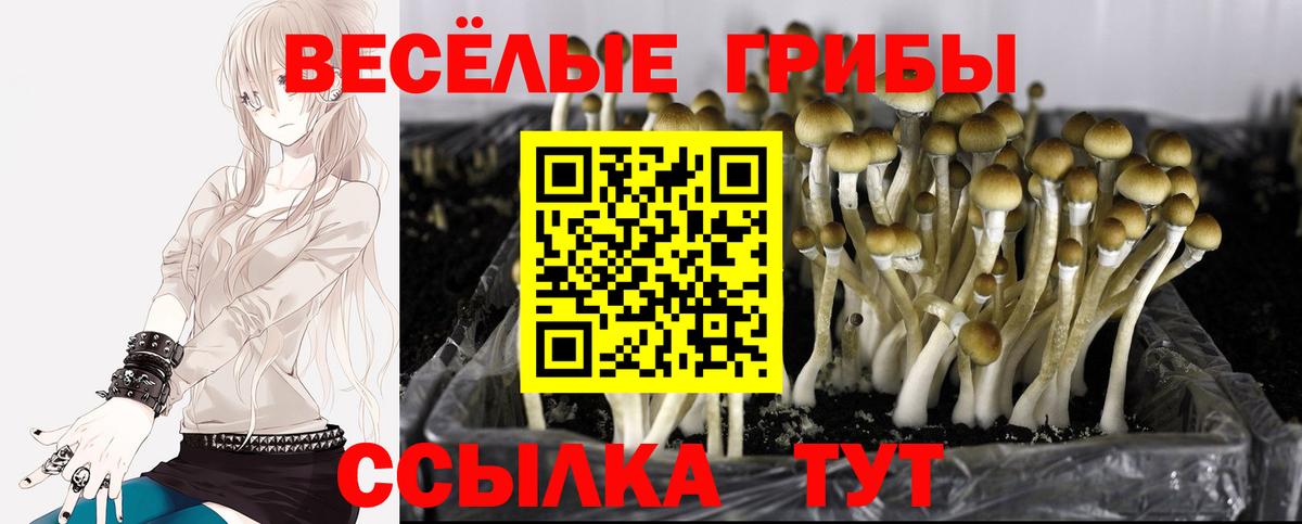 Галлюциногенные грибы мухоморы Гусь-Хрустальный